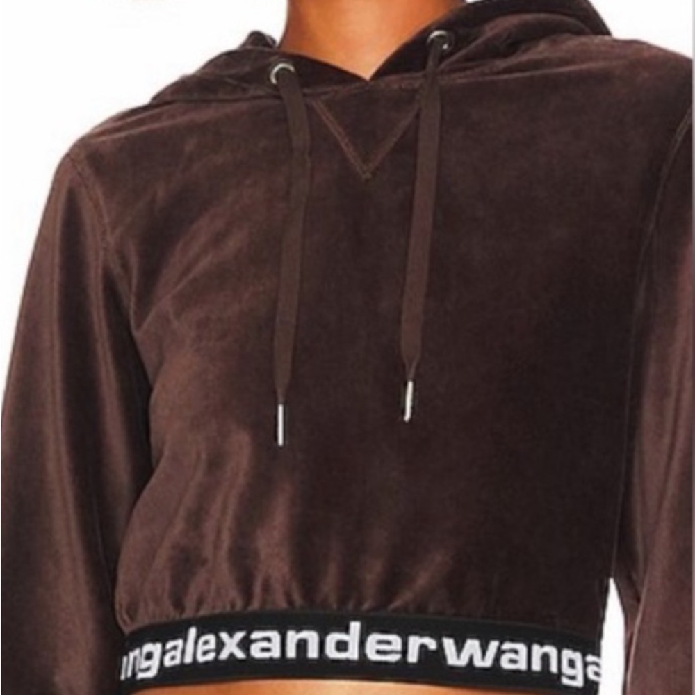 Alexander Wang Brown Velour Hoodie Top - Cola
